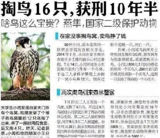 “大学生掏鸟案”当事人今日出狱，计划创业，重新融入社会