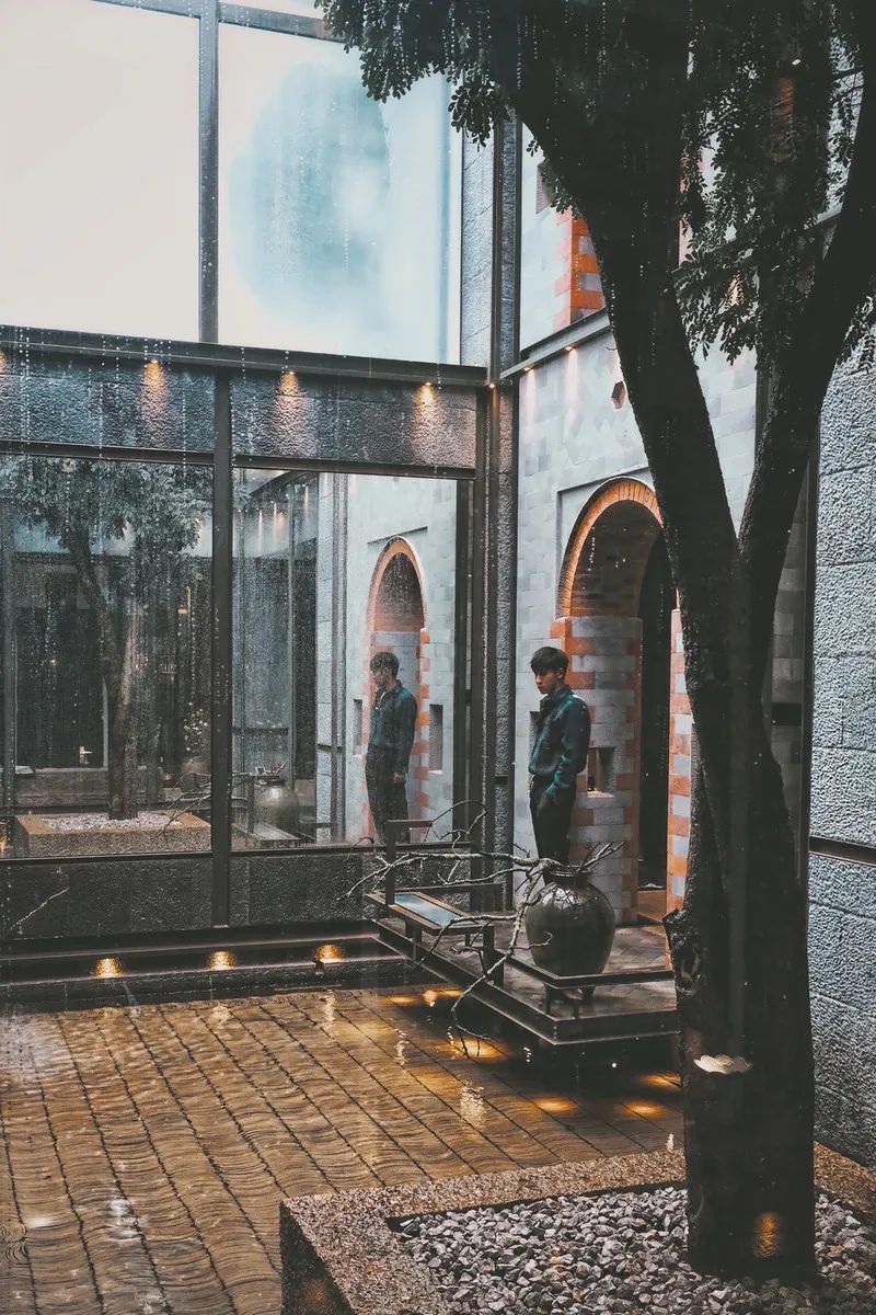 拜托！喝一杯价值8000多万的古树茶，住雪山博物馆酒店，超酷欸