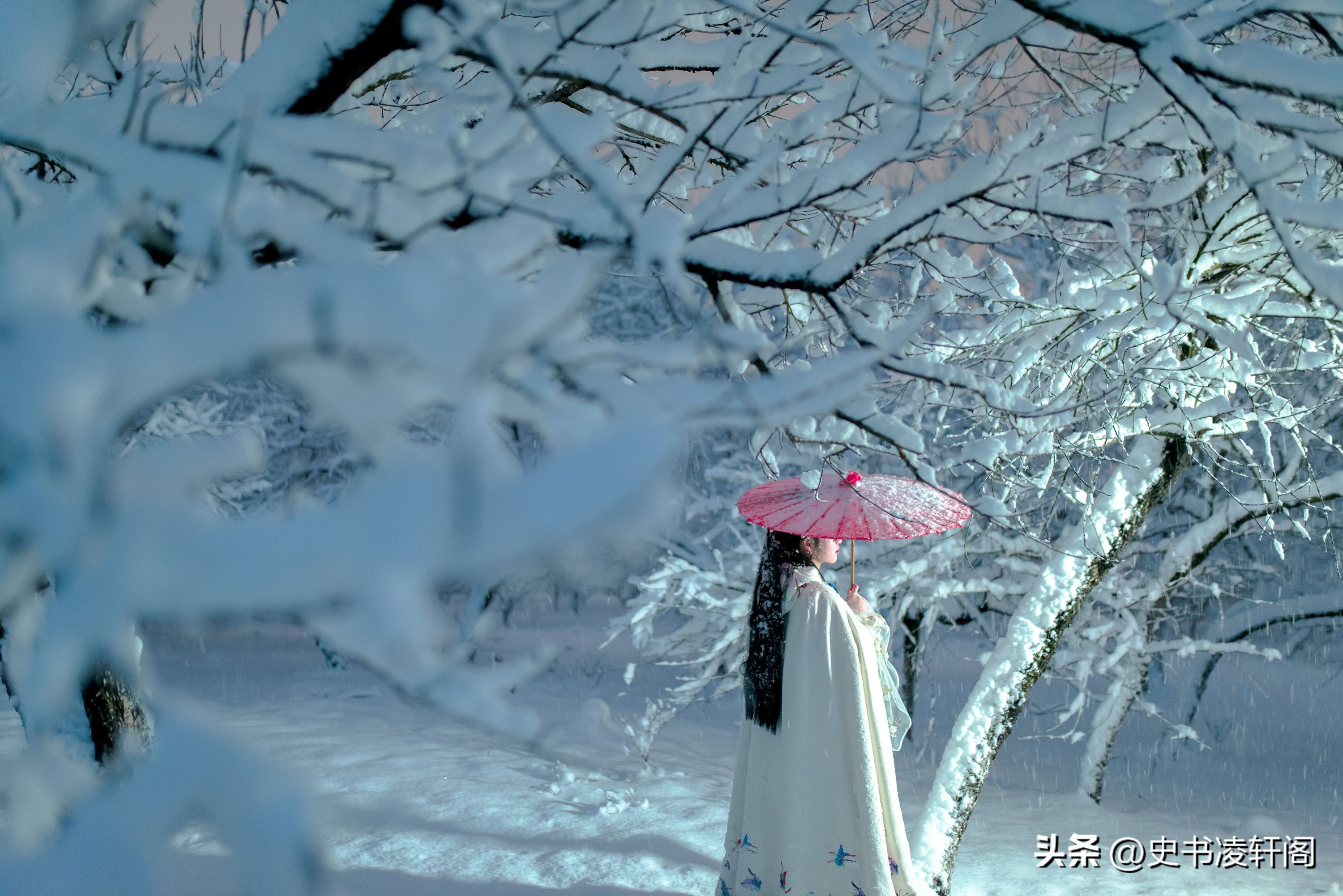 有关雪的古诗词及名句,描写雪的诗不带雪字最简单的诗句