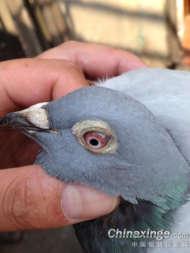 宁镇扬大赛,宁镇扬足球邀请赛