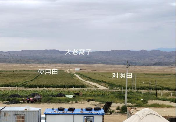 疆天耘图+农资套餐，带动玉米产量与农资销量双丰收