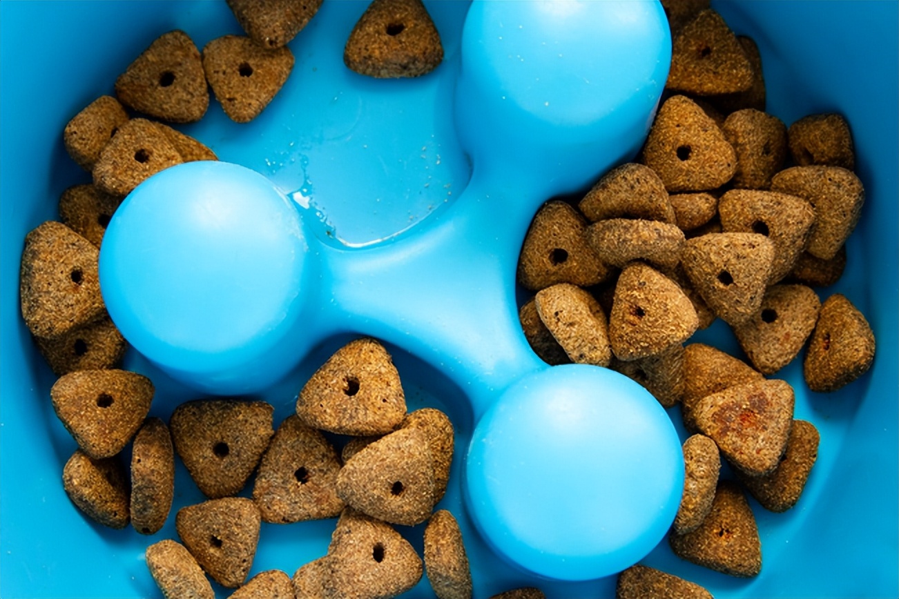 宠物挑食饿着怎么办,宠物挑食饿着还是惯着