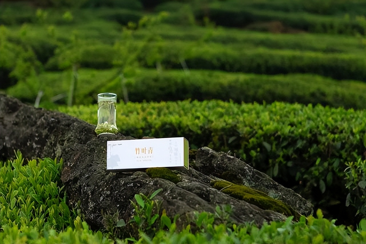 峨眉高山绿茶竹叶青2022年春茶,竹叶青峨眉高山绿茶160克黑袋装