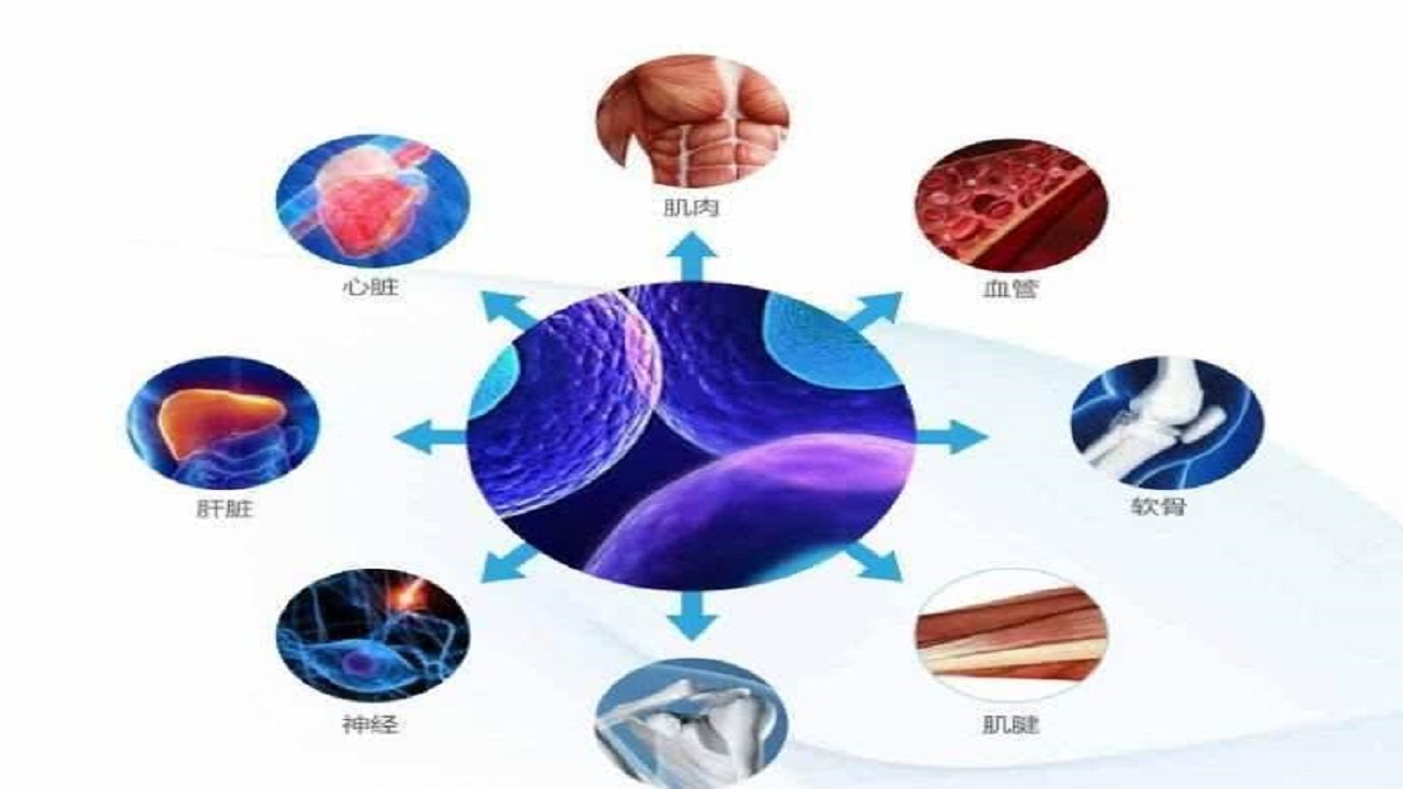 常言道人穷不能穷到底,常言道穷则什么富则什么