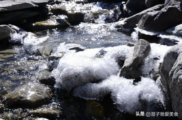 泡茶倒多少茶叶最好喝,泡茶时怎样倒茶叶水