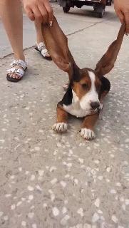 做服务员没口才,做服务员没有工作怎么办