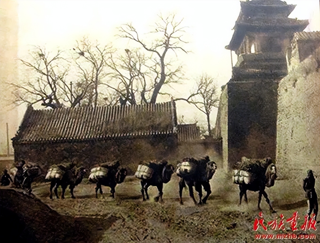 奶茶不同口味,奶茶别有一番滋味