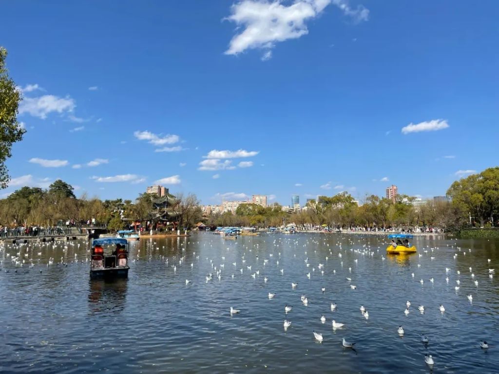 昆明到贵州5日游路线攻略,昆明大理5日游最佳方案