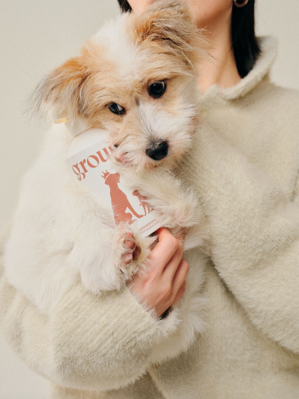 groundle棣欐皼鍠烽浘,groundle鎶栭煶