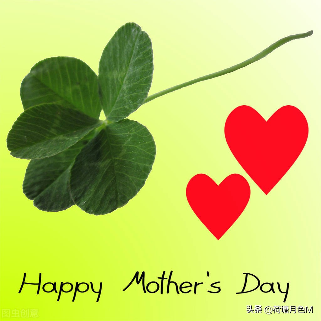 母亲节送给母亲一朵康乃馨,母亲节亲手做一朵康乃馨送给妈妈