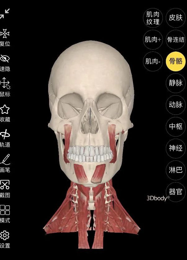 美术生宝藏app,墙裂推荐素颜神器