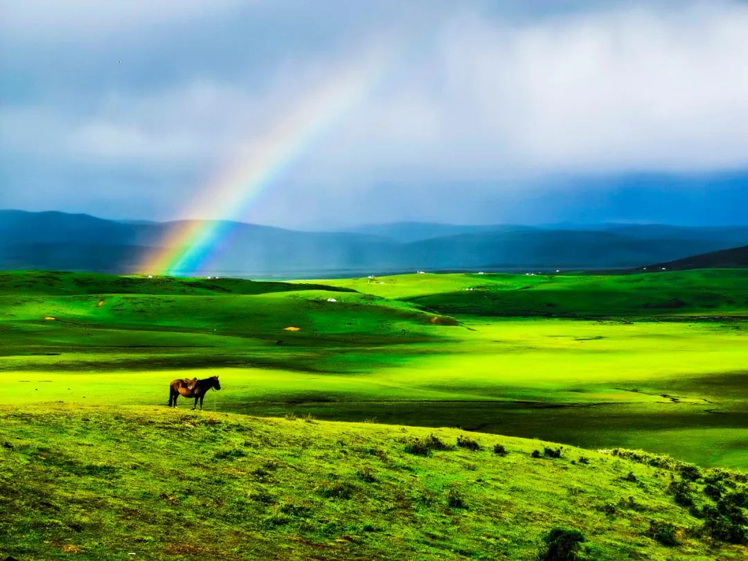 世间景，皆松潘！