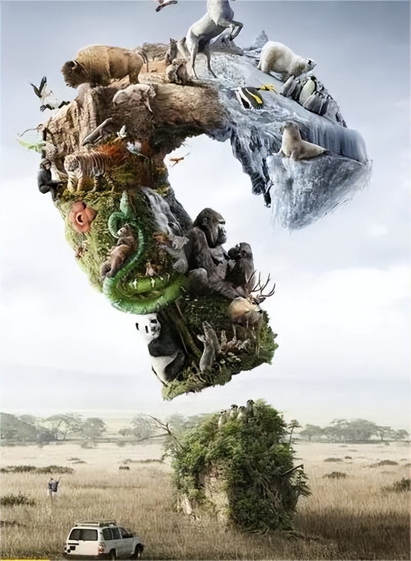 电视广告的主要投放地点有哪些,电视适合投放什么样的广告