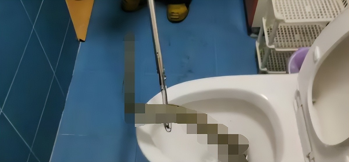 曾有人被咬伤*体下**！女子夜起从马桶钻出大蛇，大蛇为何能上楼？