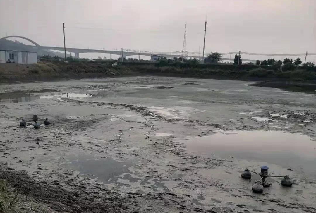 你小看“生石灰”了,它可不是简单的消毒剂