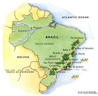 狂舞桑巴,桑巴狂舞电影