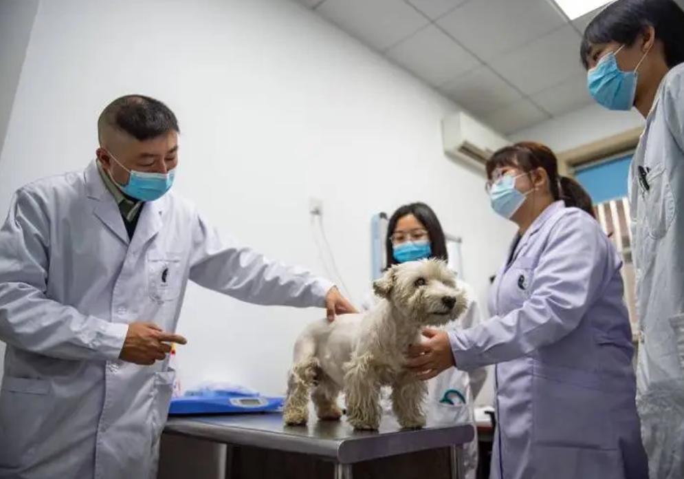 适合女生就业前景好的专业排名,适合女生就业前景好的10大专业