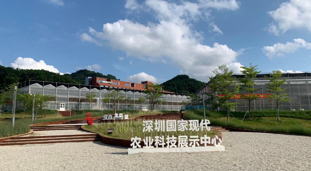 徒步露营带什么好吃的美食,旅行美食露营总有一款能治愈