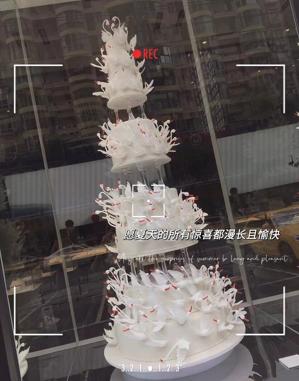 最贵的黑天鹅蛋糕价格表,黑天鹅网红蛋糕价格