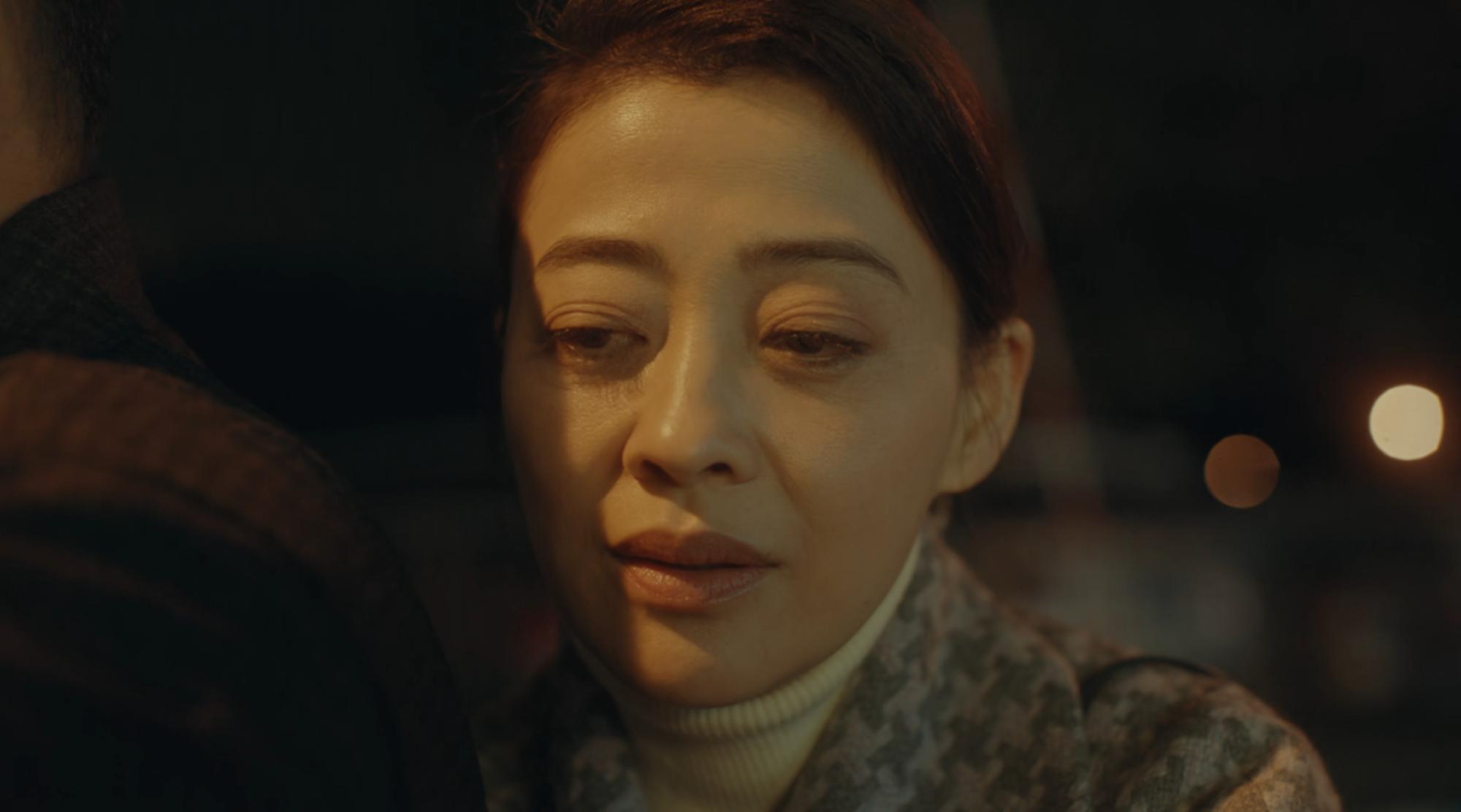 梅婷十部必看兵变1938电视剧,梅婷新剧曝光