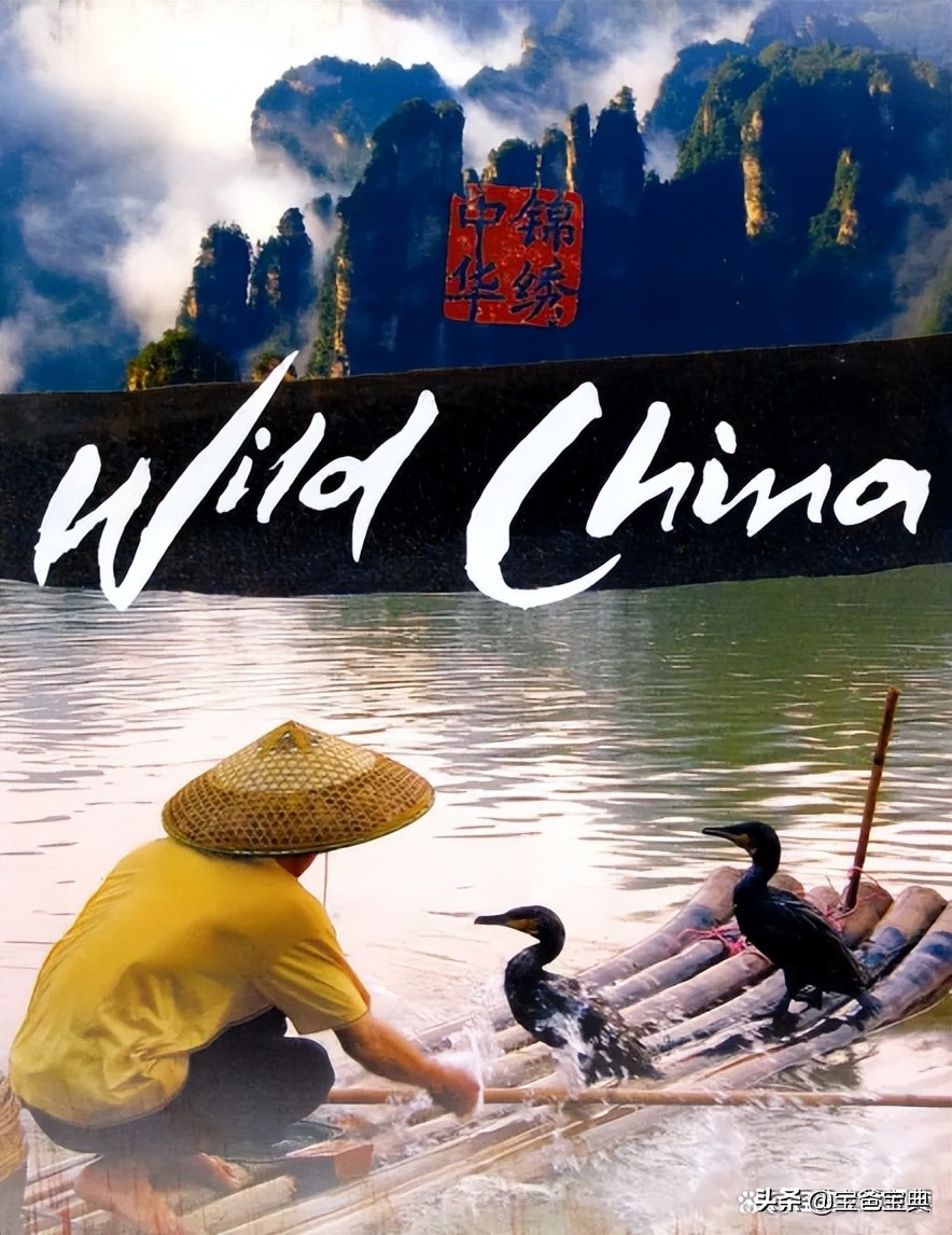 地理类十大高分纪录片,9部初中生必看的地理纪录片