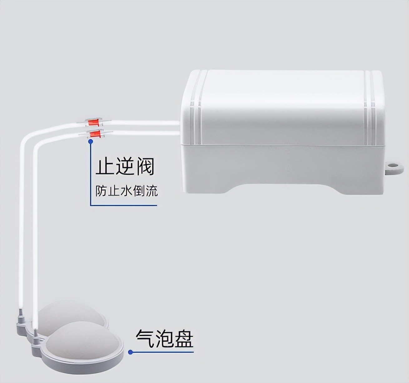 小鱼缸氧气泵需要一直开着吗,鱼缸需要一直开着氧气泵吗