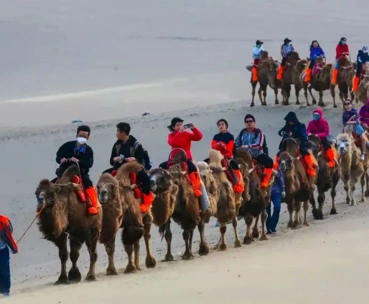 很棒的北京中学,北京最深藏不露的中学