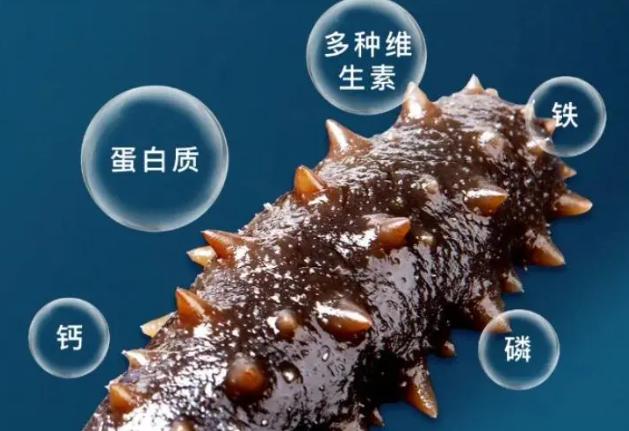 海参哪个牌子好带礼盒,海参的品牌哪个最好