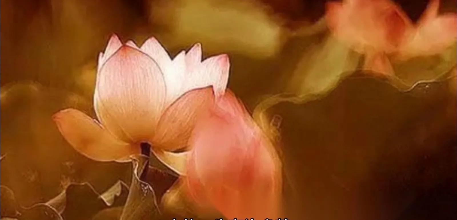 痛并快乐着的文案,痛并快乐着专辑正版