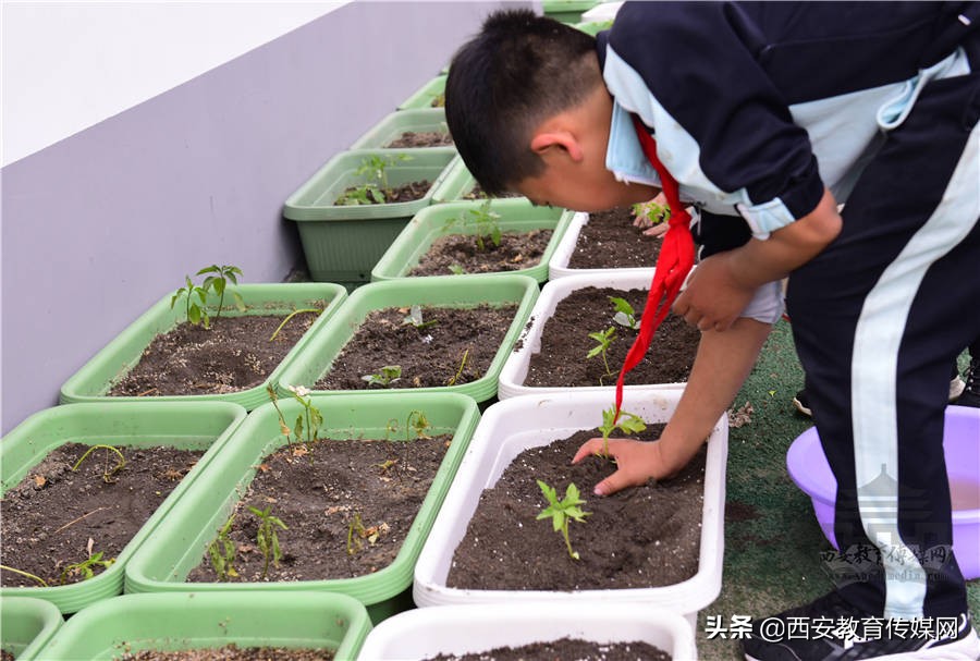 莲湖区沣惠路小学,莲湖区西安市沣惠路小学