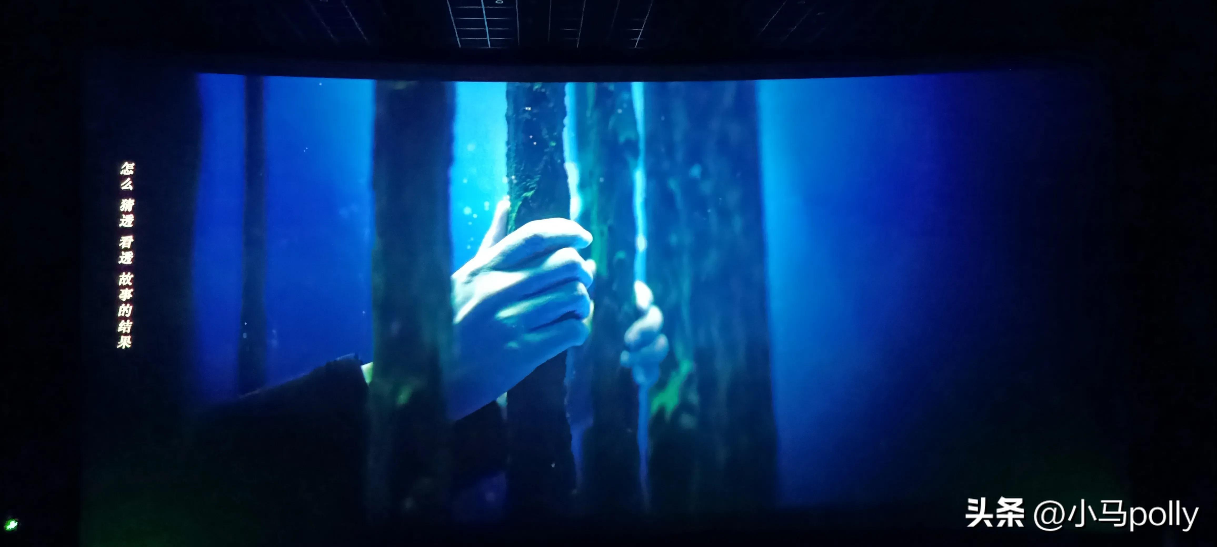 看消失的她有感,消失的她看完感触