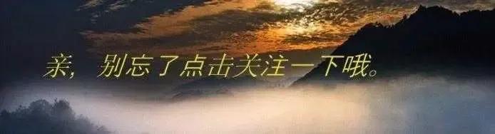 《柳崖外编》奇异怪物四则：鼷鼠、我有油、和合草、冬虫夏草