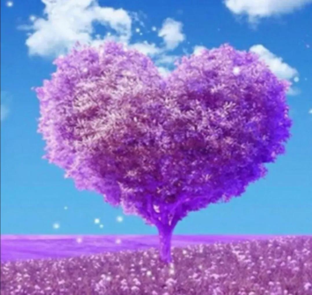 胖的人大便以后怎么擦到屁股呢？如果清洁不好，还会引起疾病