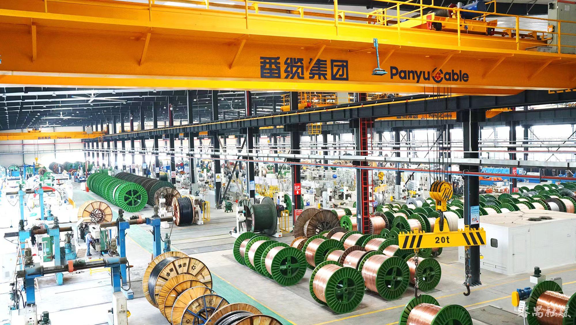 番禺电缆企业,番禺电缆集团现状