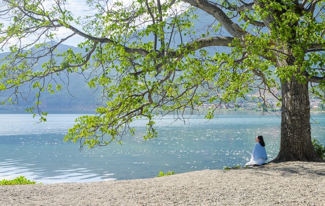 姣忔棩閲戝彞,浜烘皯鏃ユ姤鏄ヨ妭閲戝彞
