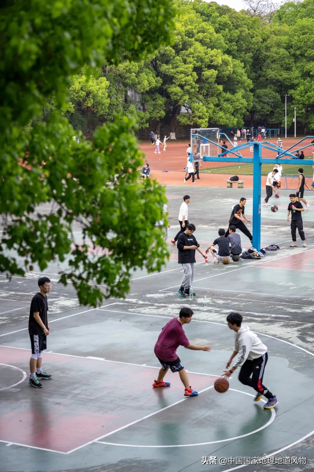 中南财经大学和中南大学法学对比,中南大学哪个系最强