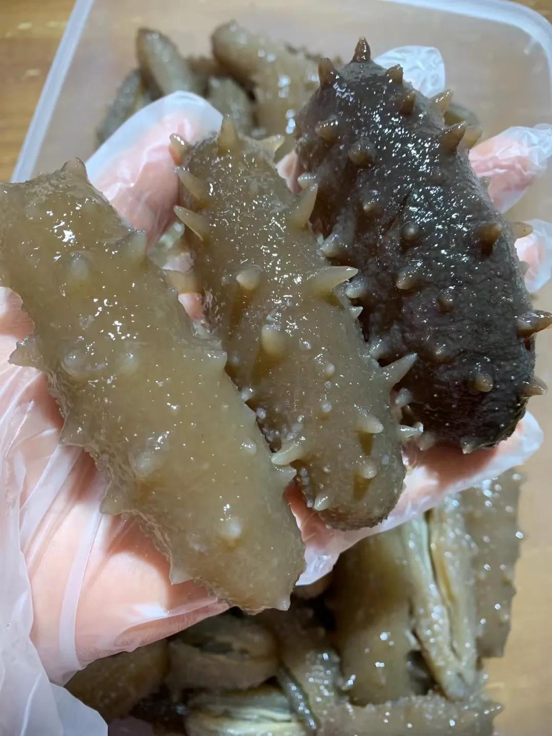 有没有人被海参骗了 (便宜海参骗局)