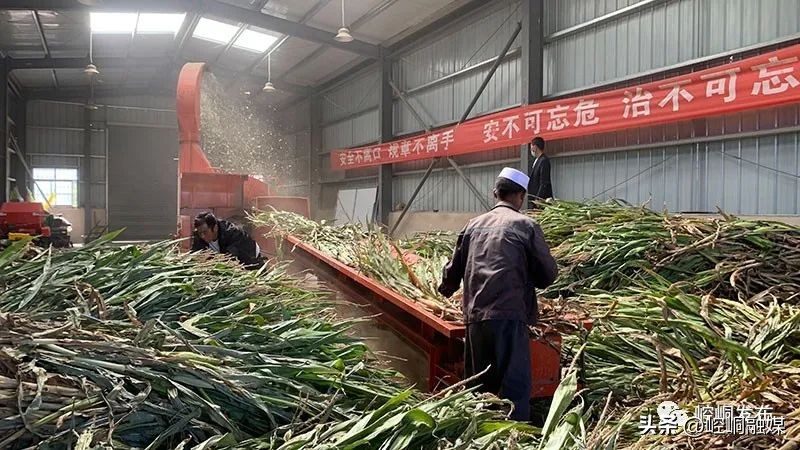 “我们这十年”丨崆峒：“畜”势勃发“牧”歌欢唱