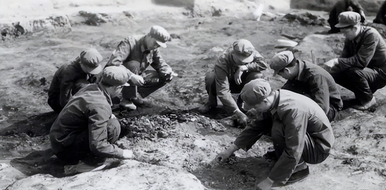 1972年到1974年发现的什么墓,1972年到1974年挖掘的墓