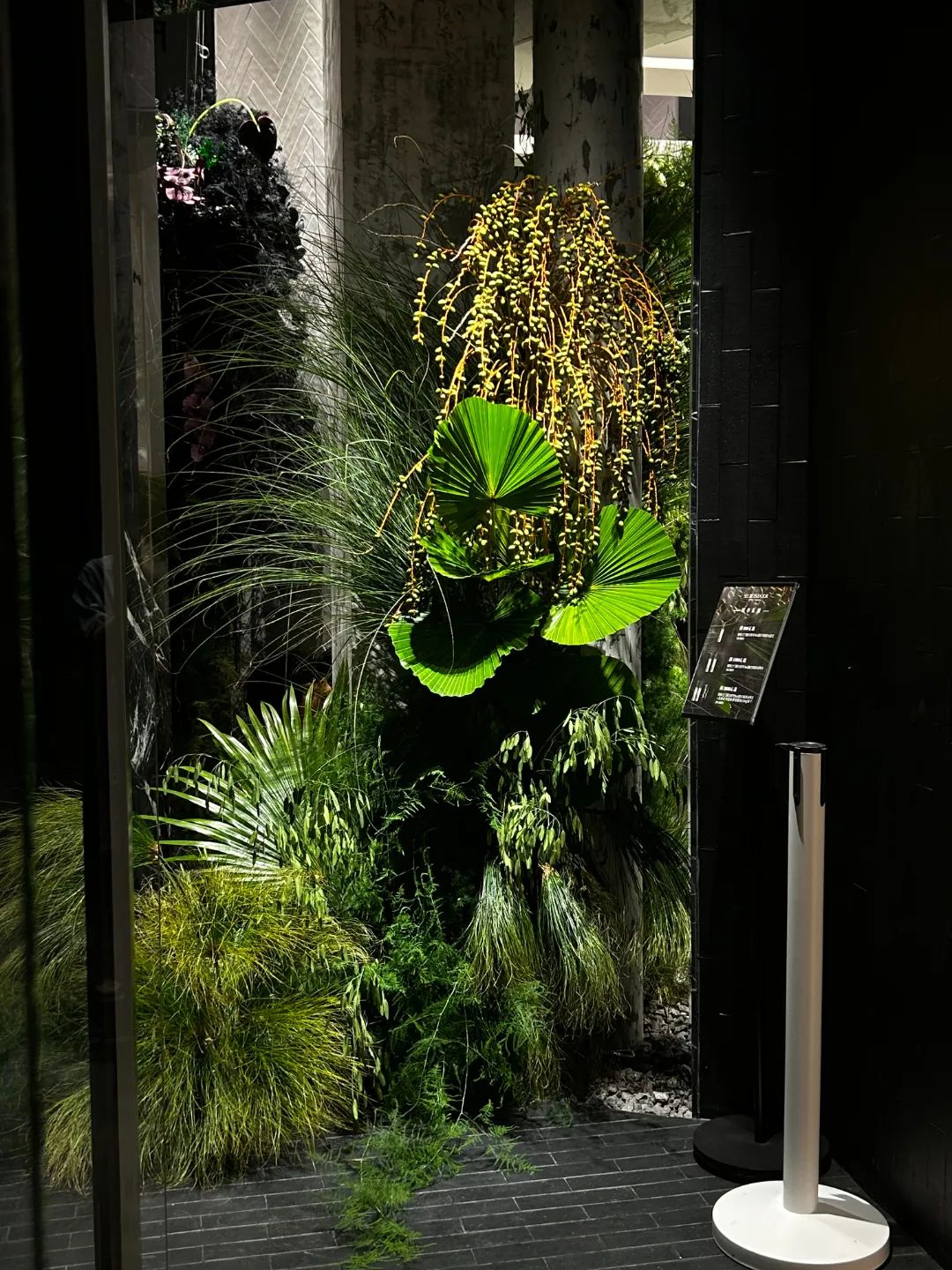 “野生”风格受欢迎——成都30平方米小花店，一年收入250万元