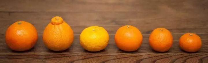 为何中国水果在日本如此畅销,日本天价水果