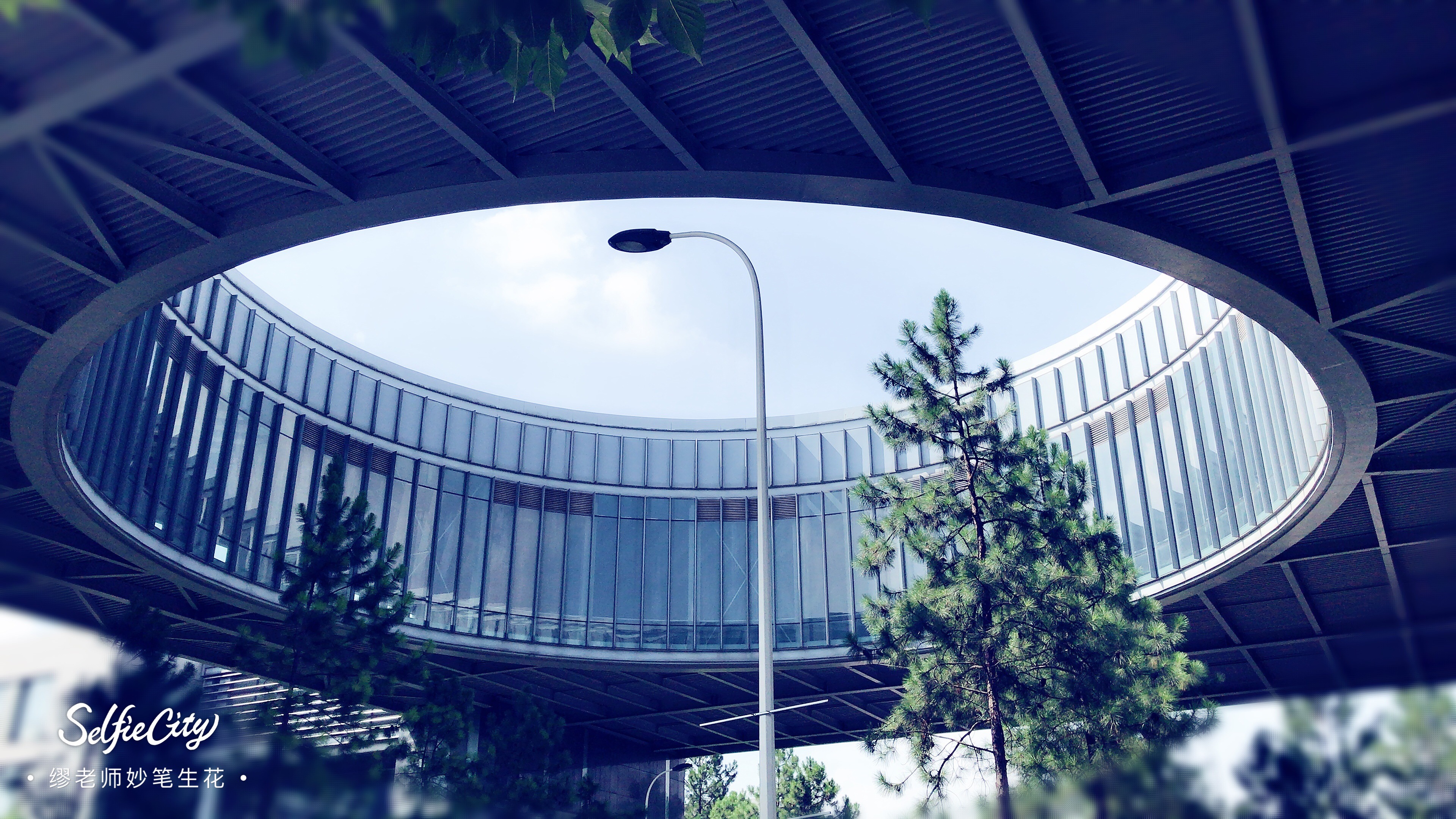 高考志愿图文,高考志愿300400填报讲解