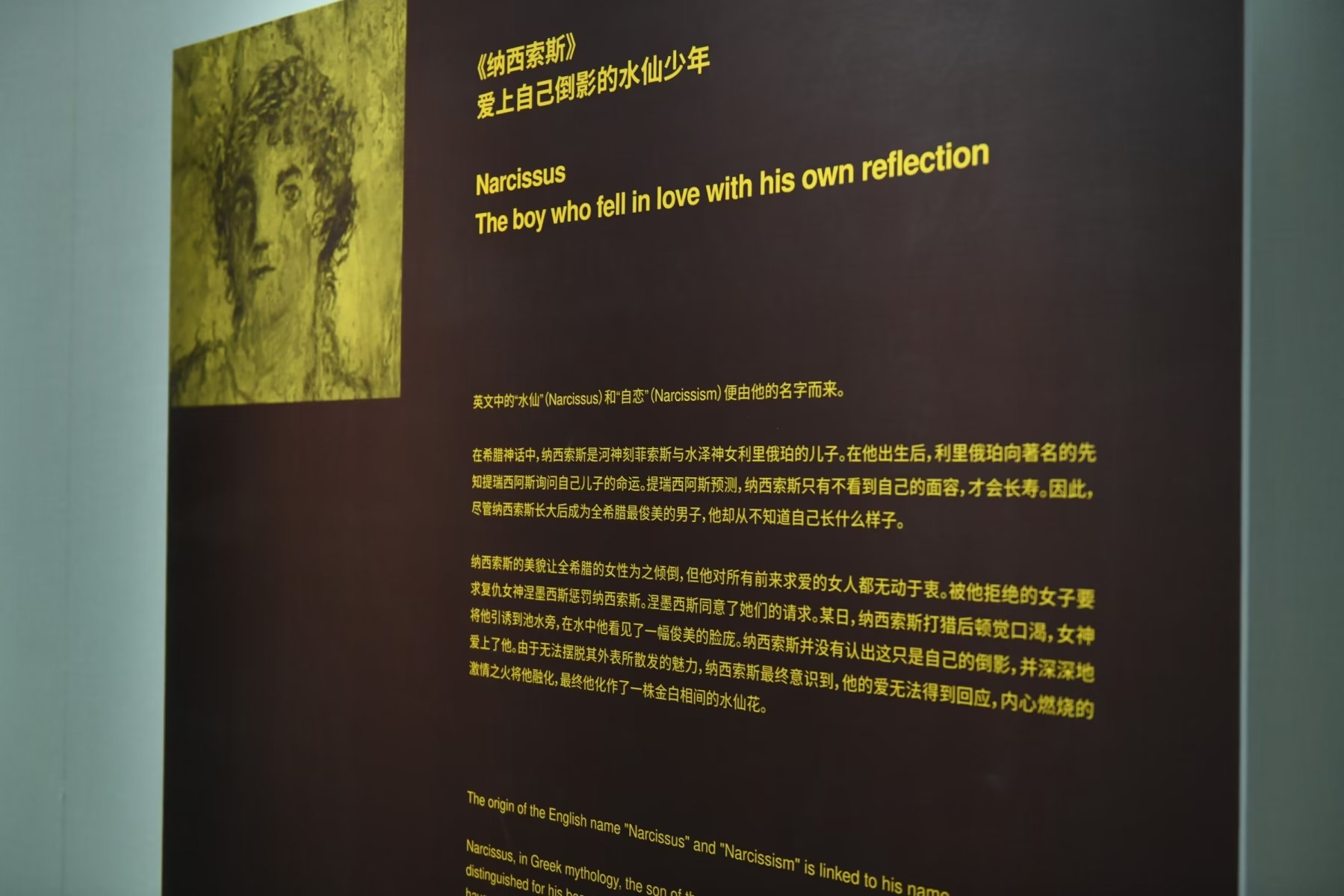 研学上海旅游攻略,上海研学旅行攻略