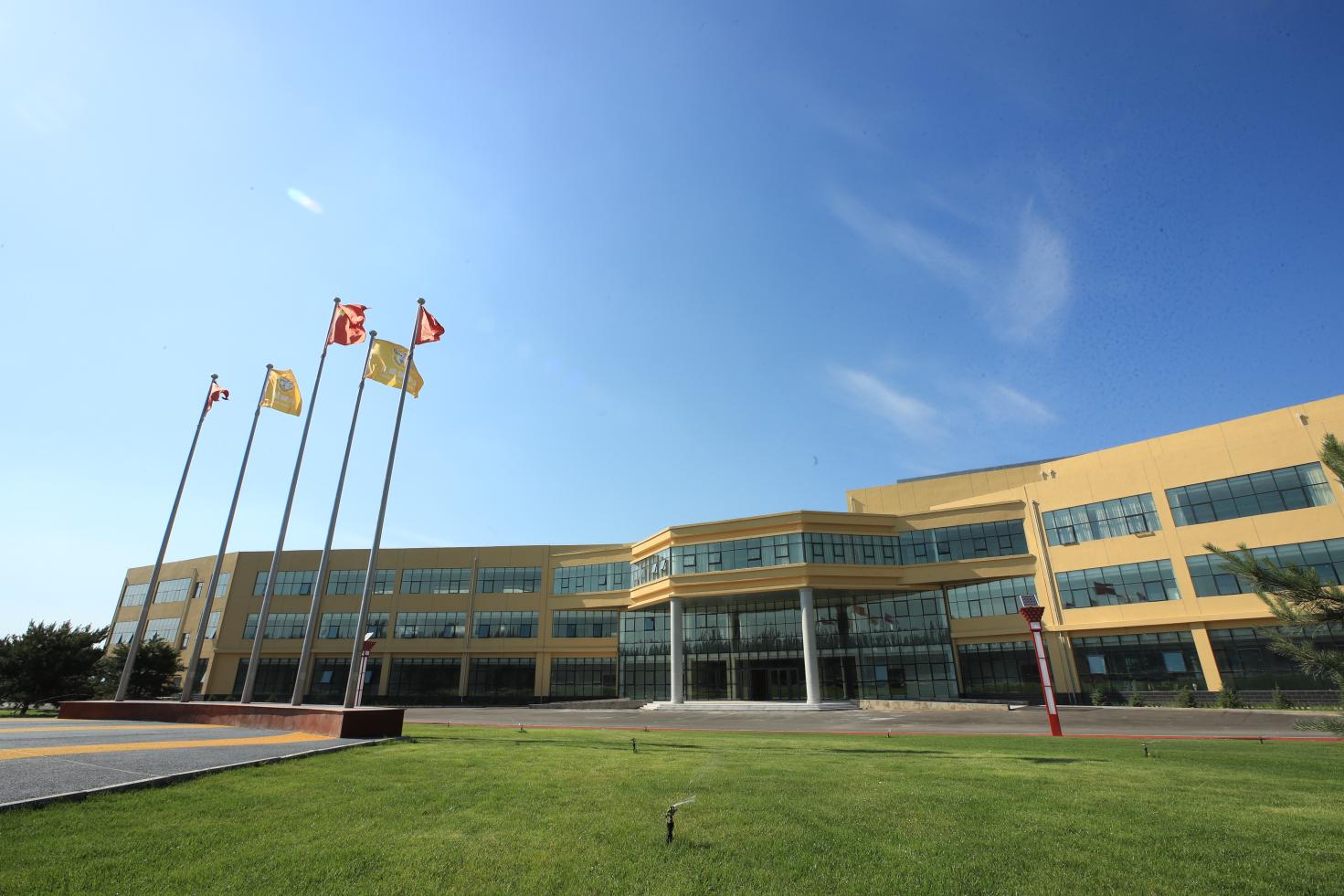 羊奶粉盛健评测,盛健臻乳儿童羊奶粉