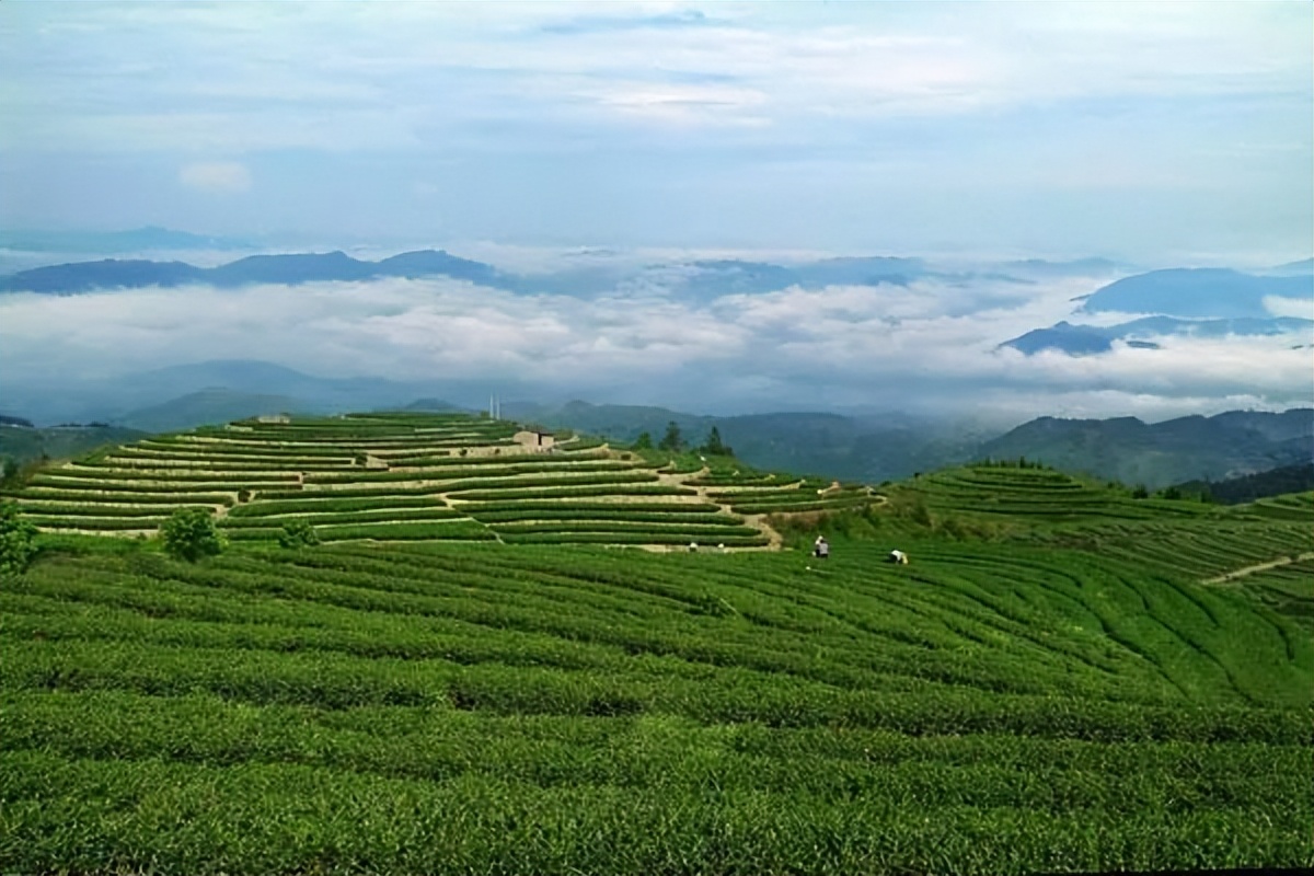 桂林雁山猫儿山,广州出发6天最适宜赏秋旅游