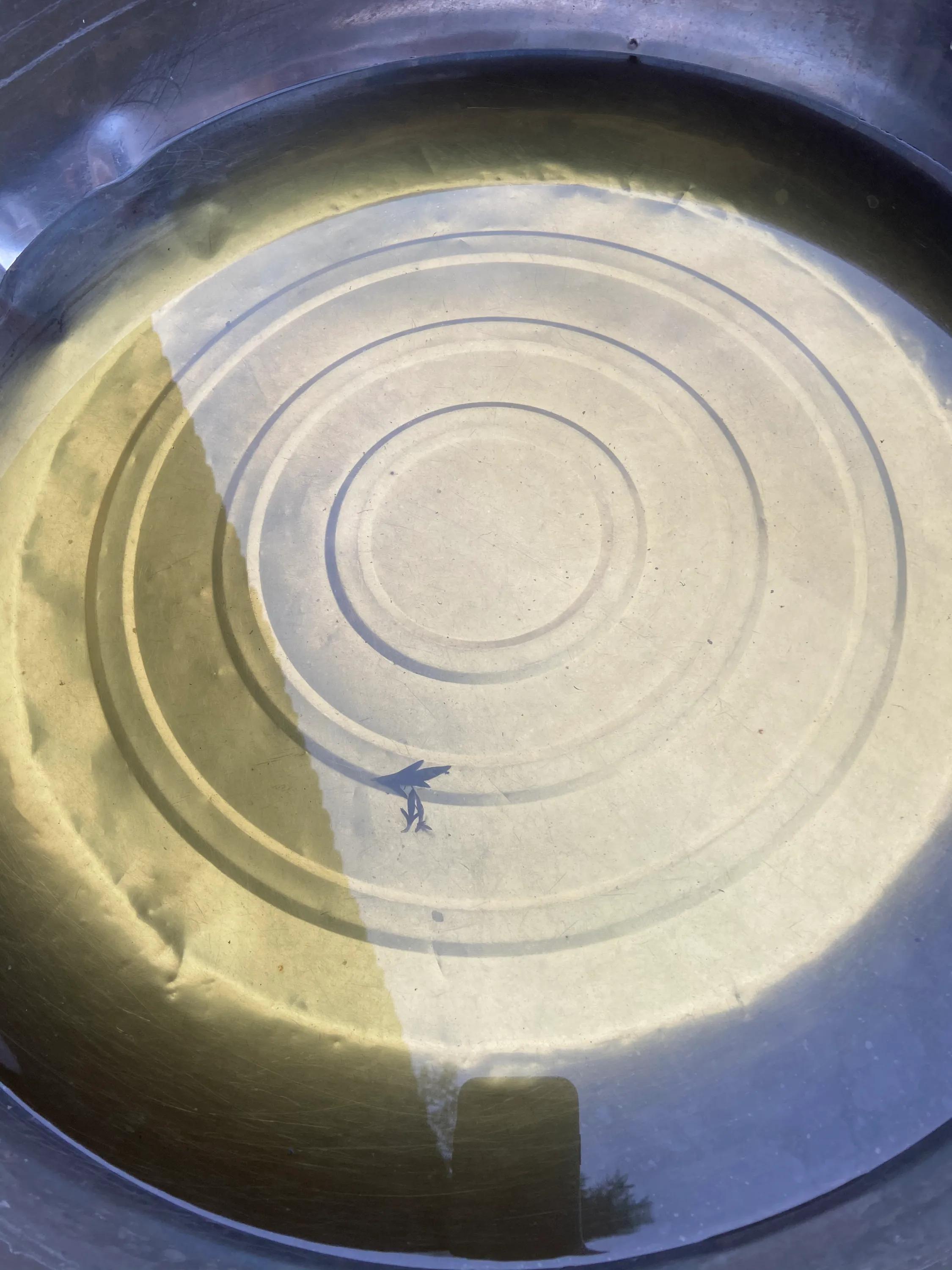 鏂伴矞鑹捐崏鑿栬挷,鑿栬挷鑹捐崏