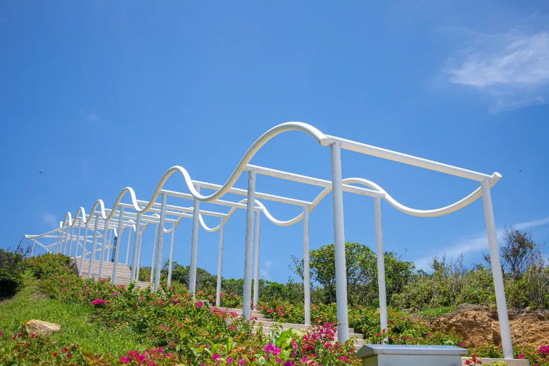 珠海东澳岛2天1晚保姆级旅游攻略,广州到澳门珠海2日游攻略