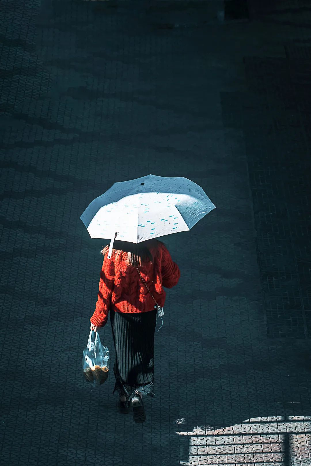 攀枝花是一种什么花,什么是攀枝花铁树