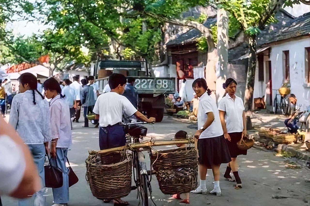 推荐几本设定新奇的冷门网络小说,冷门古言悬疑小说排行榜