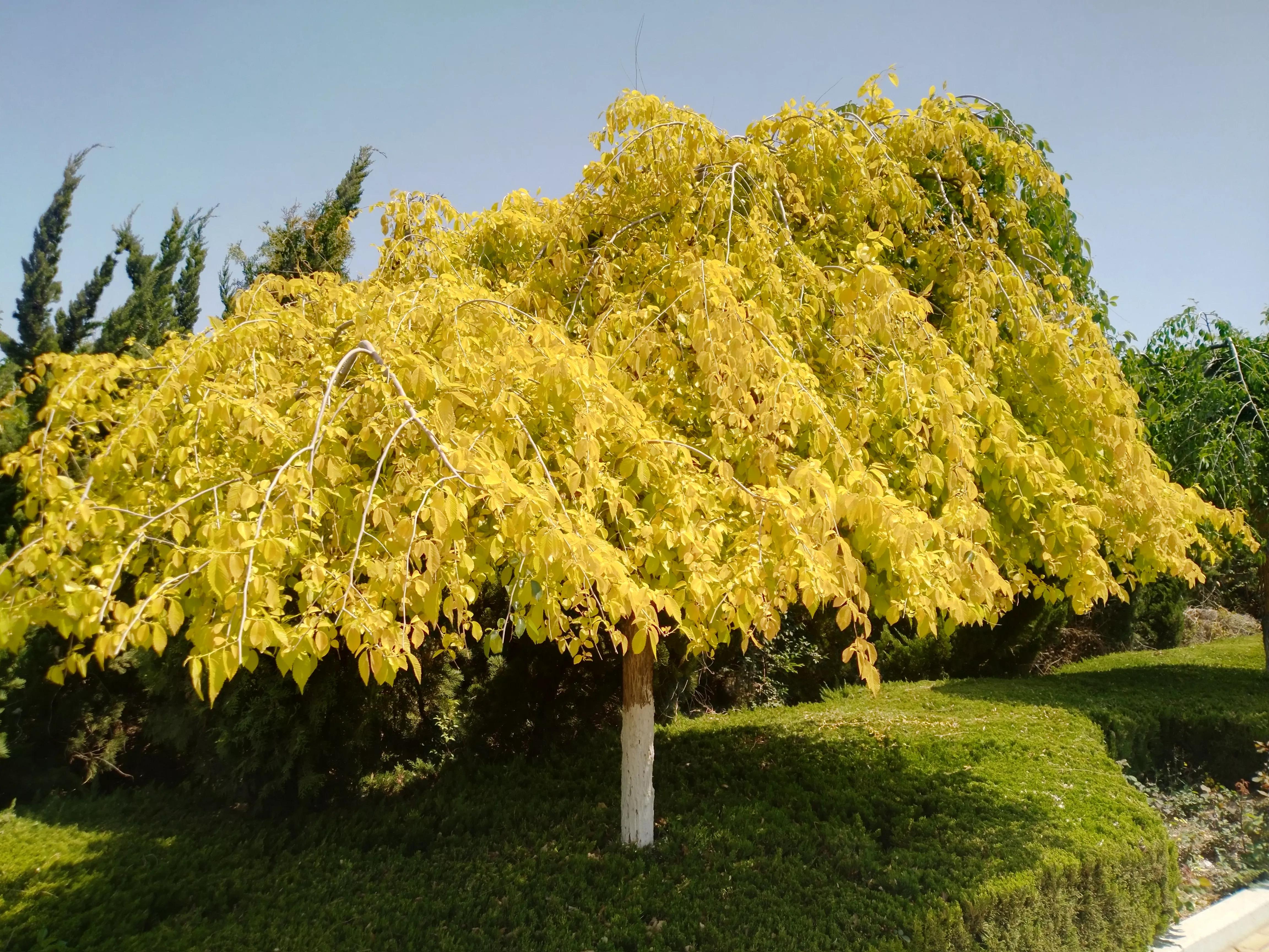 实体店与网店的生存现状,实体店和网店的发展趋势
